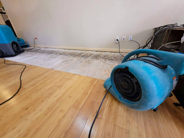 Professional Water Removal technician working in Topawa, AZ